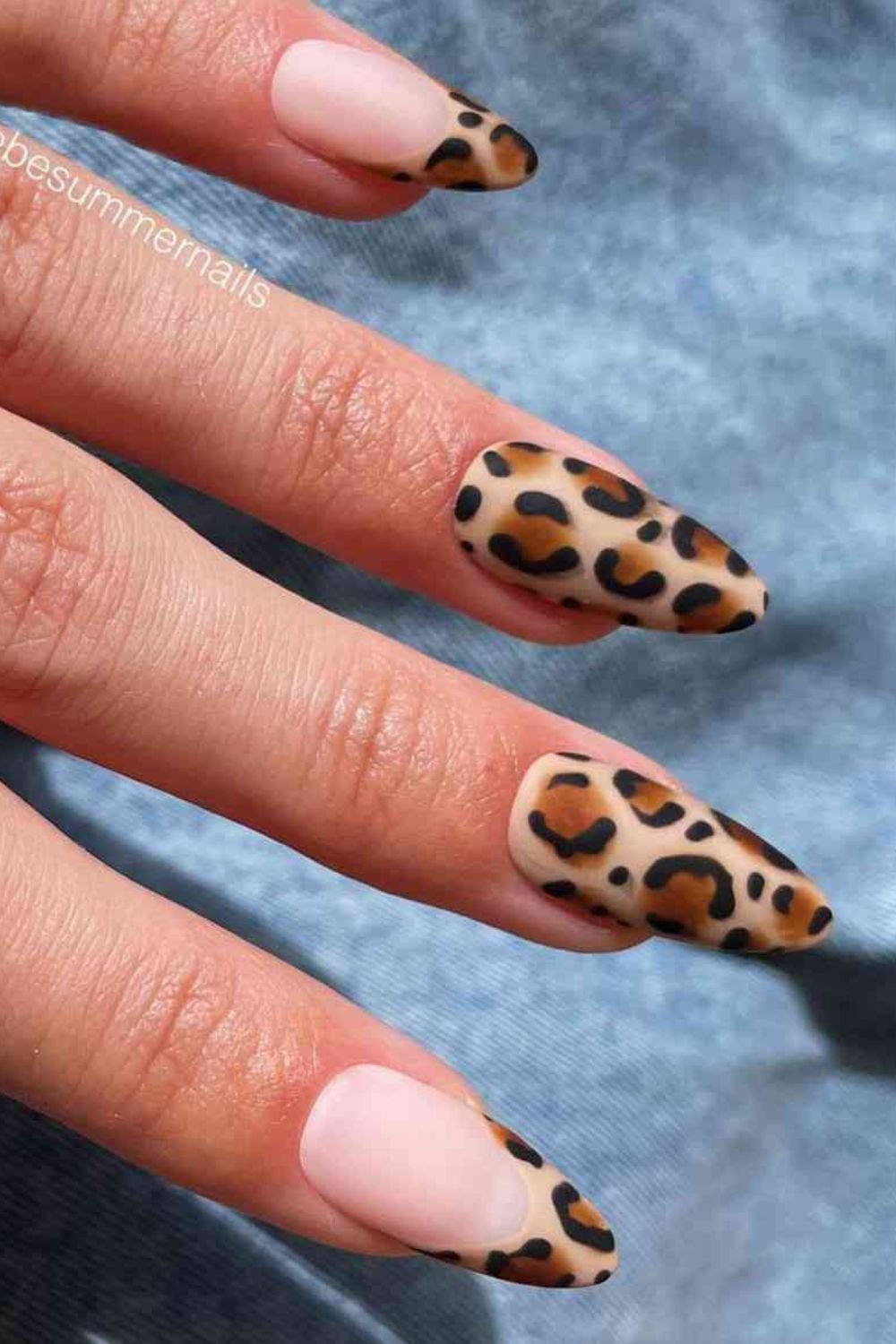 Animal Print Fun