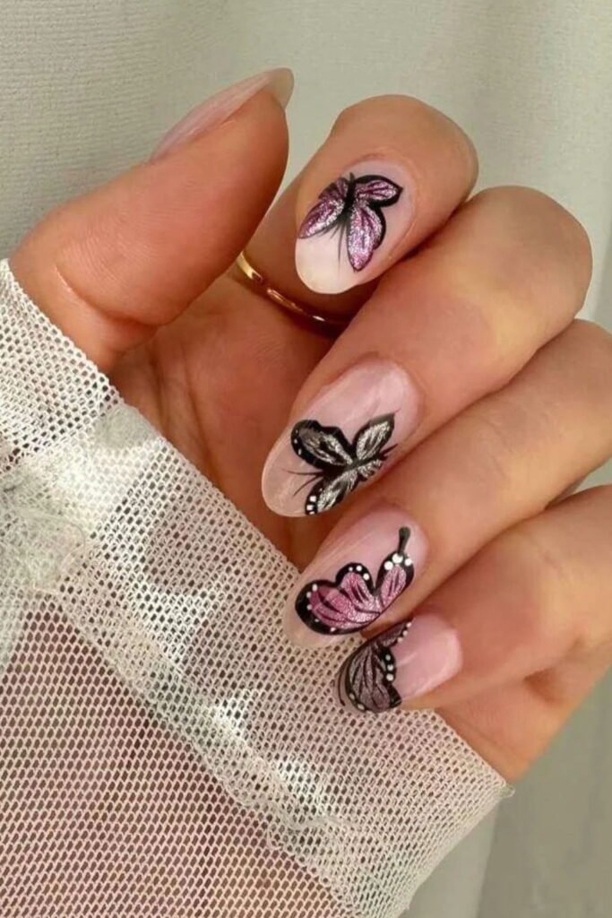Butterfly Accents