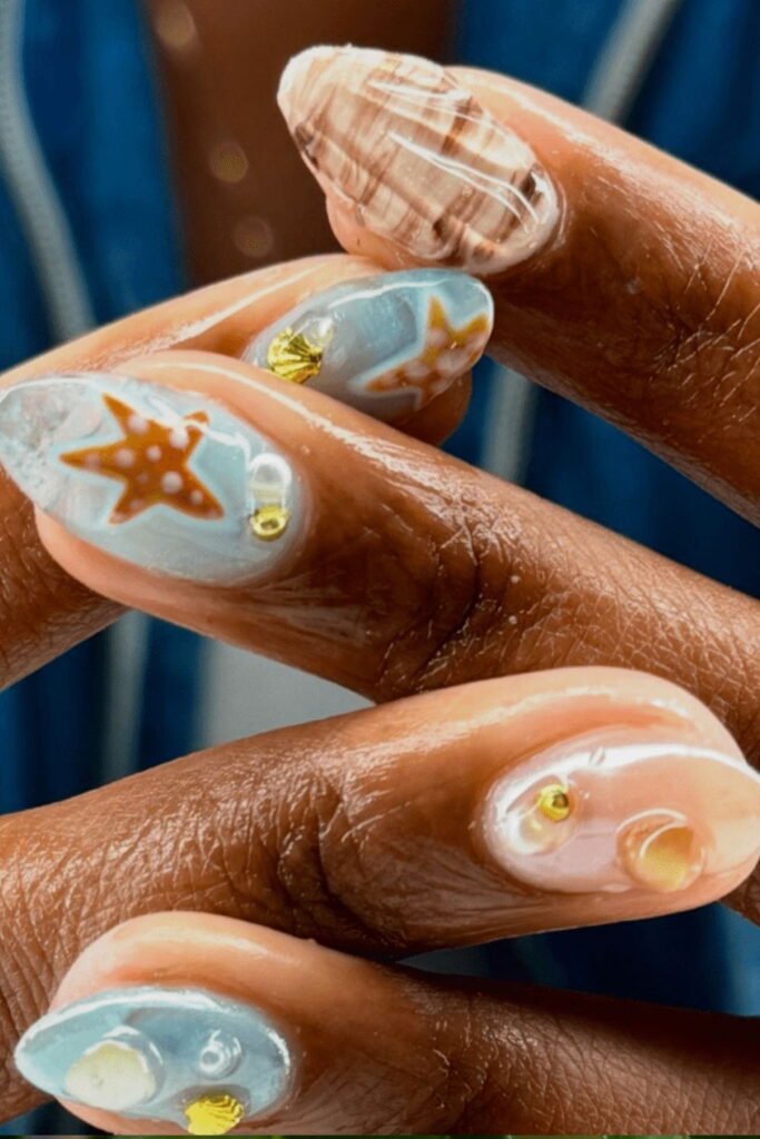 Starfish and Seashell Designs